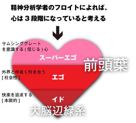 保育園事業 株式会社 セロン東北 地域に密着した安全をつくる